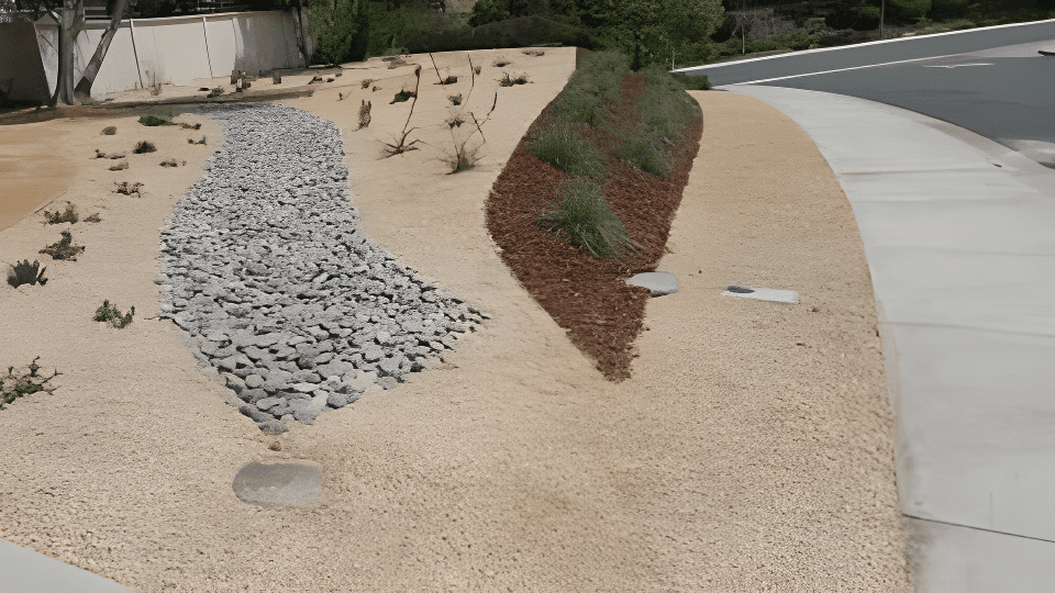 Landscape Project 9